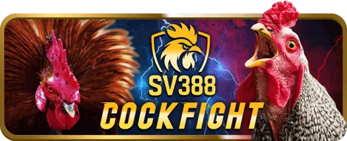 Võ sĩ trong sàn đấu boxing, biểu tượng của cá cược võ thuật tại Betvisa88